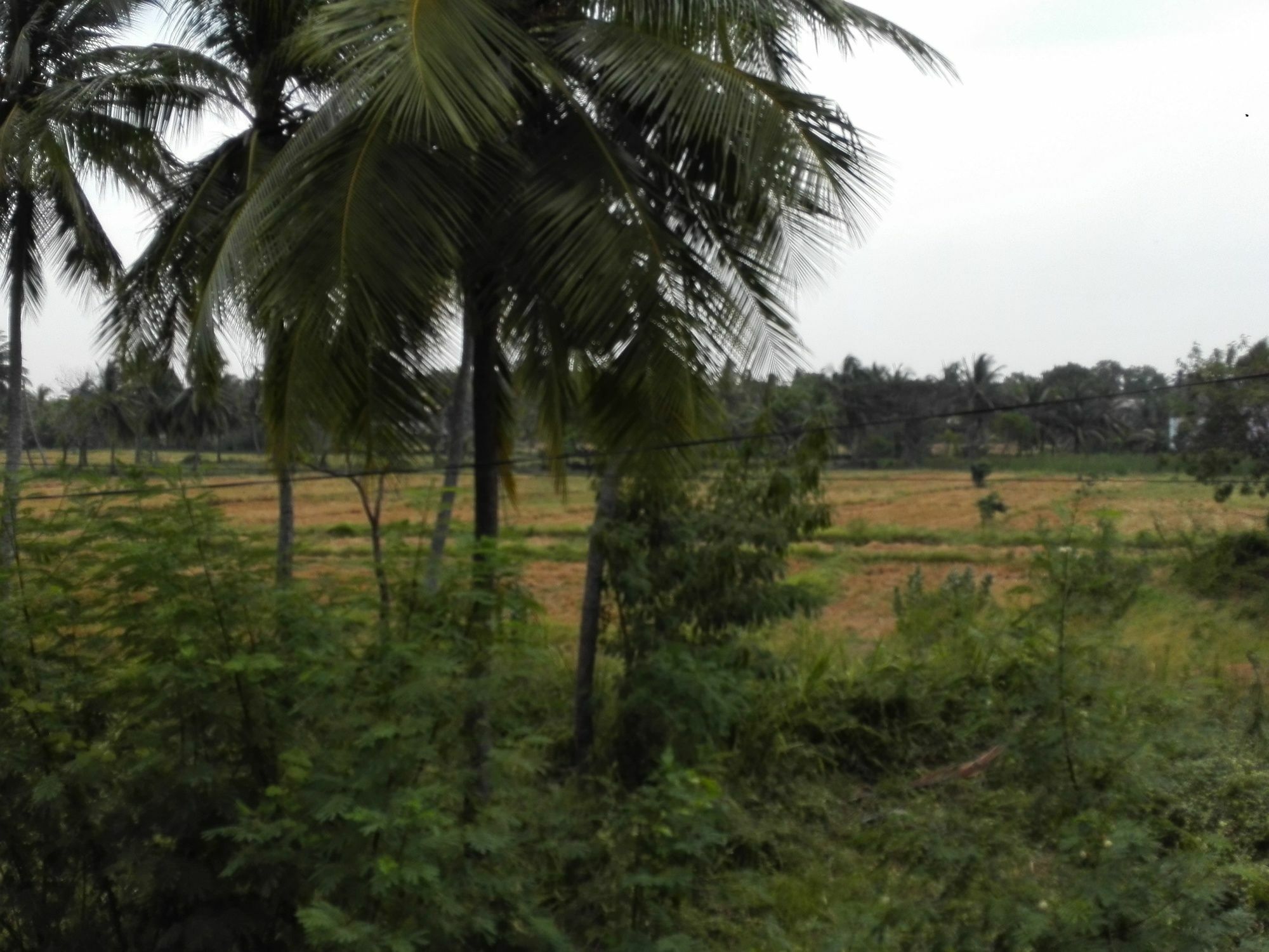 Salubrious Resort Anuradhapura Eksteriør billede