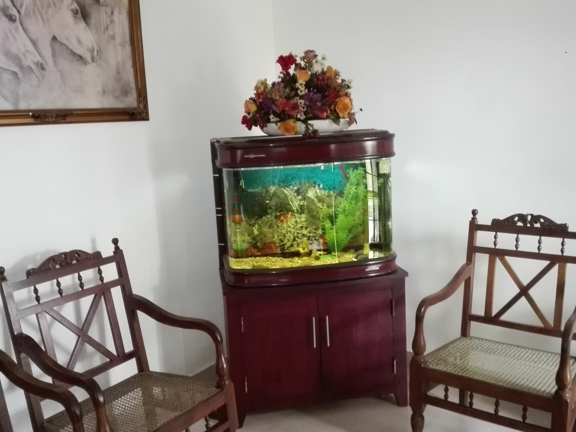 Salubrious Resort Anuradhapura Eksteriør billede